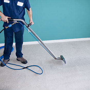 Carpet Cleaning